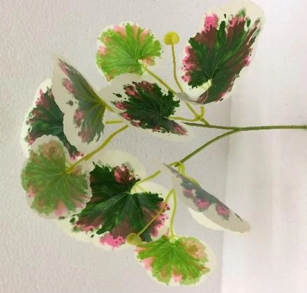 Natural Leaf Stick Med 1x3x3